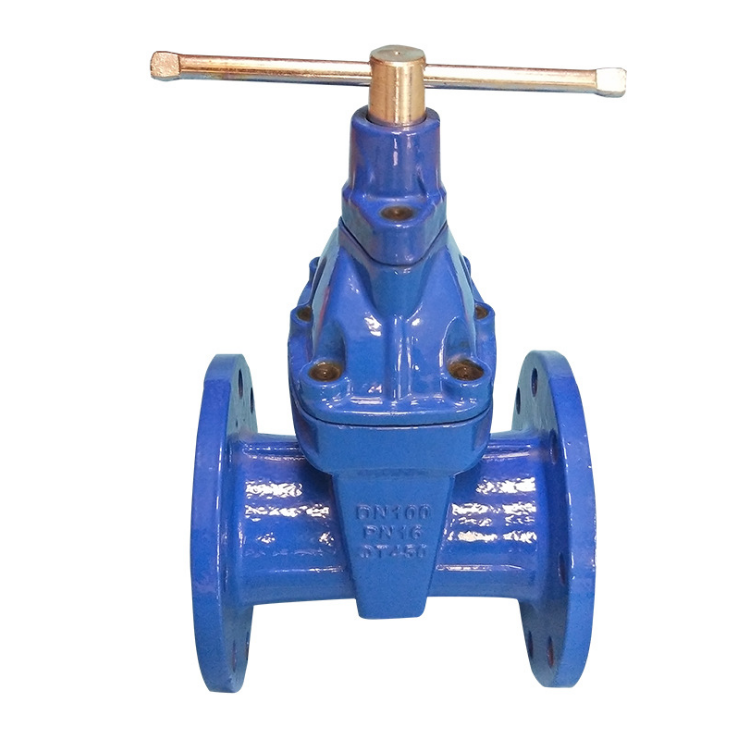 带锁软密封闸阀