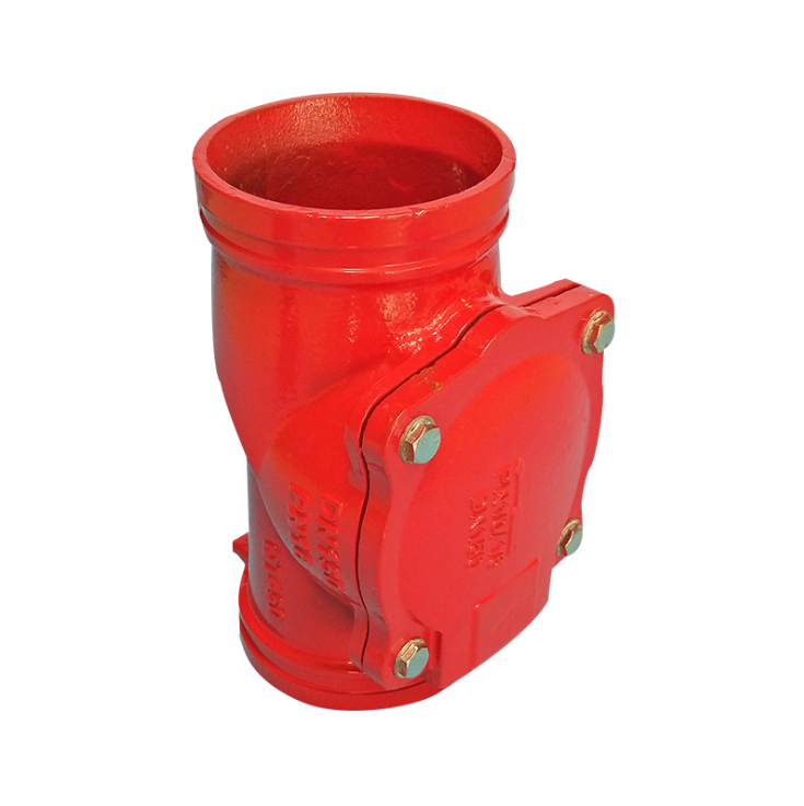 沟槽橡胶瓣止回阀